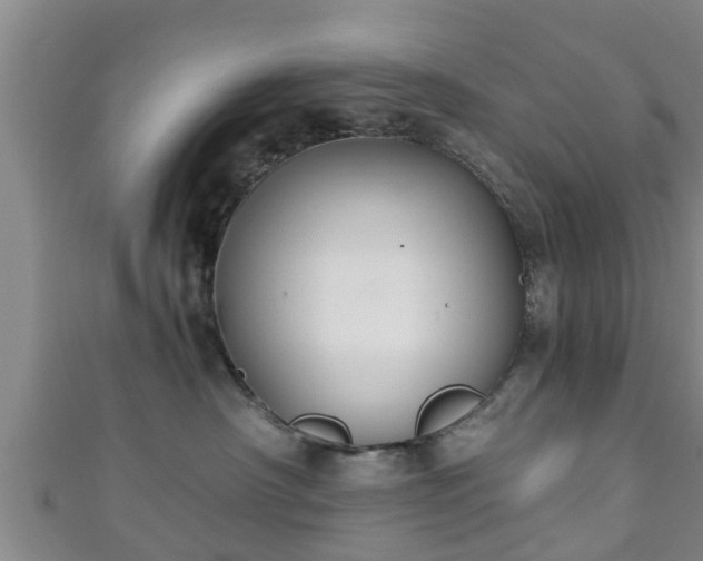 X0000111590430200907231218