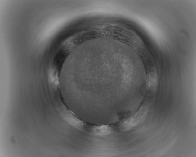 X0000111590431200907231218