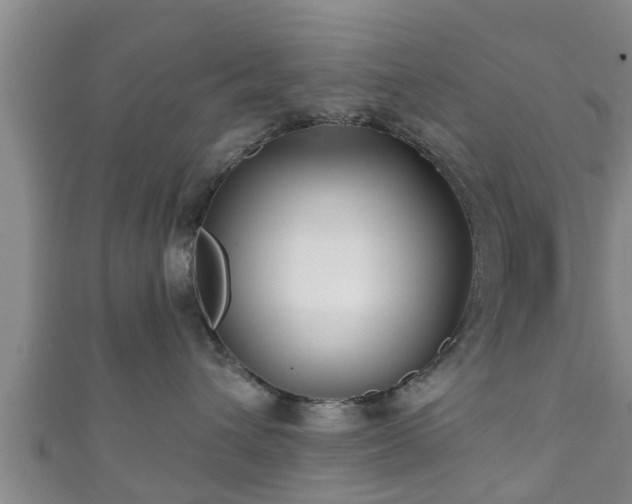 X0000111590432200907231218