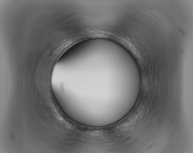 X0000111590433200907231217