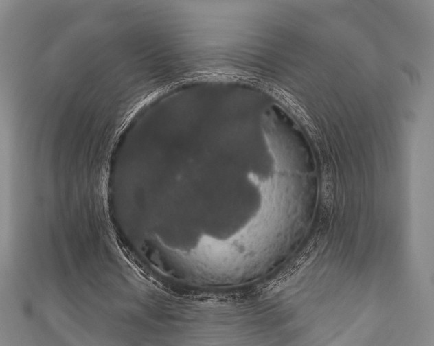 X0000111590434200907231217