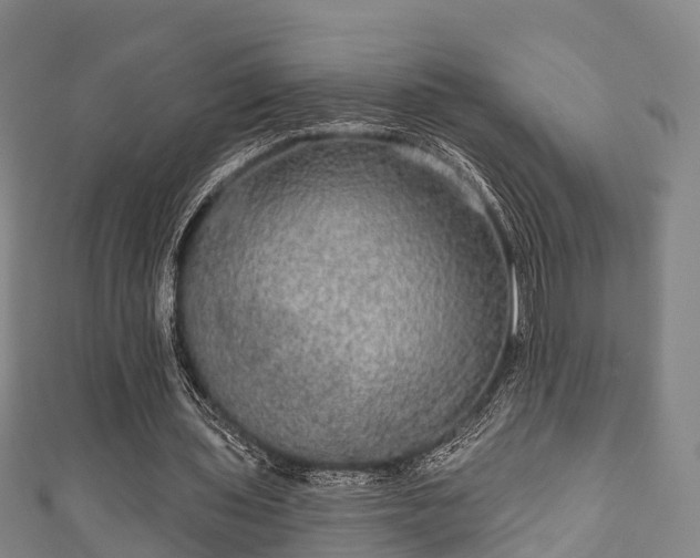 X0000111590435200907231217