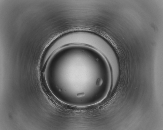 X0000111590436200907231217