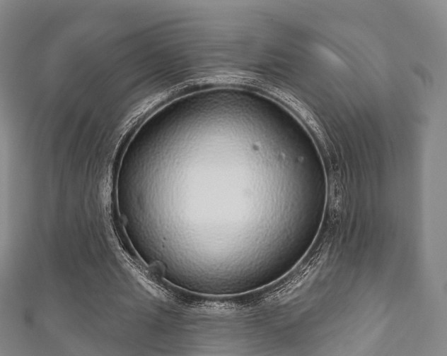 X0000111590437200907231217