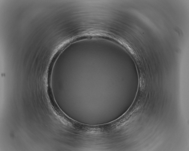 X0000111590438200907231218