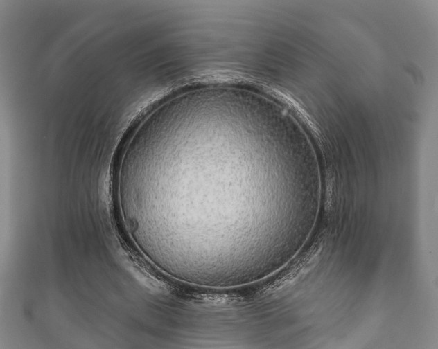 X0000111590439200907231218