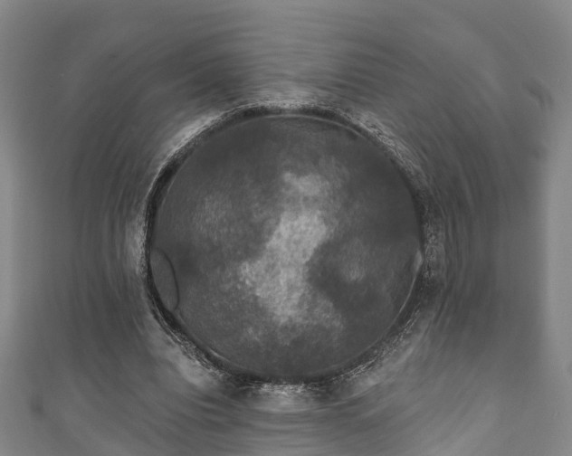 X0000111590440200907231218