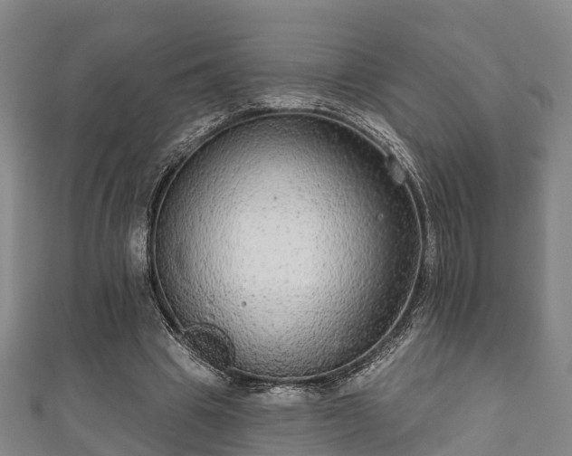 X0000111590441200907231218