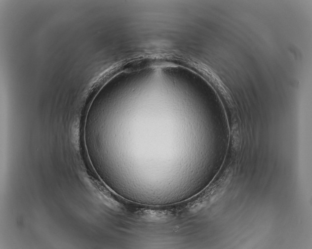 X0000111590442200907231218