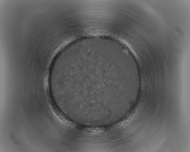 X0000111590443200907231218