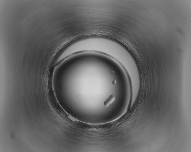 X0000111590444200907231218