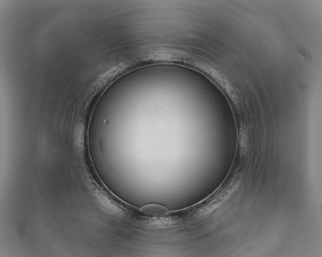 X0000111590445200907231218