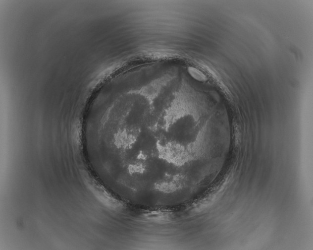 X0000111590447200907231218