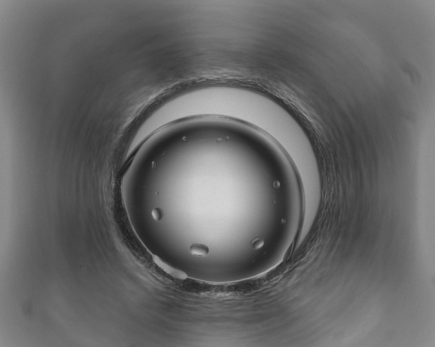 X0000111590448200907231218