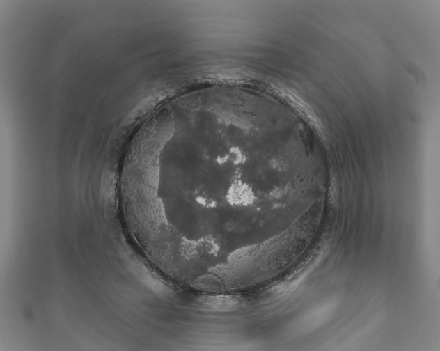 X0000111590449200907231218