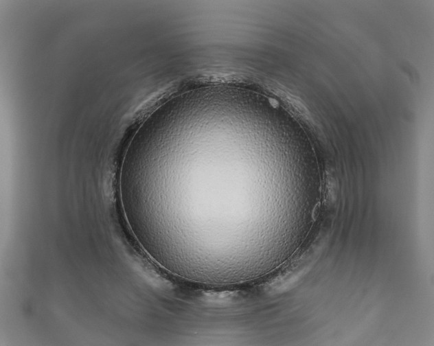 X0000111590450200907231218