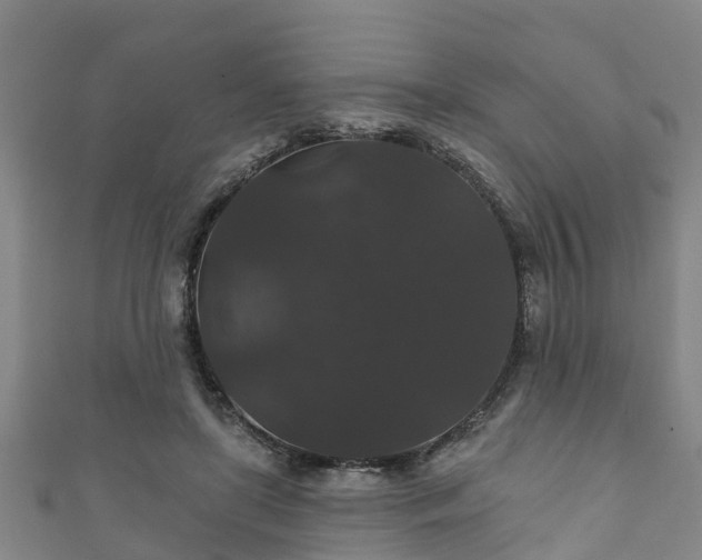 X0000111590451200907231218