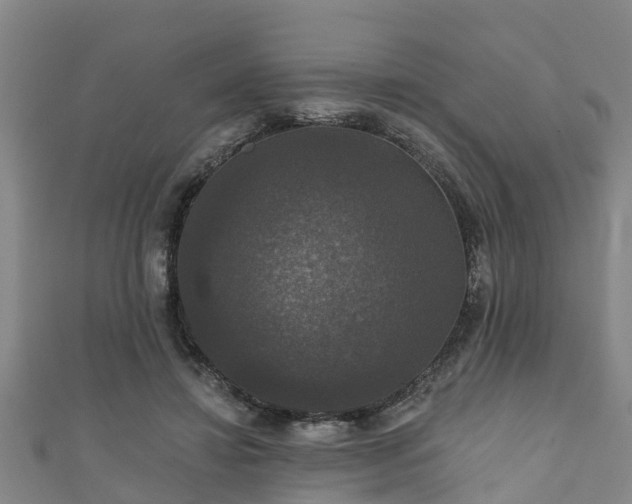 X0000111590452200907231218