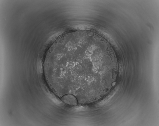 X0000111590453200907231218