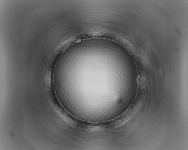 X0000111590454200907231218