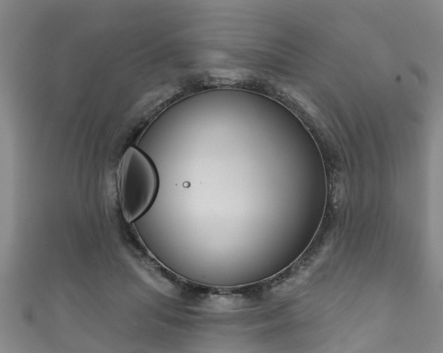 X0000111590455200907231218