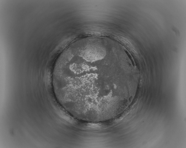 X0000111590457200907231218