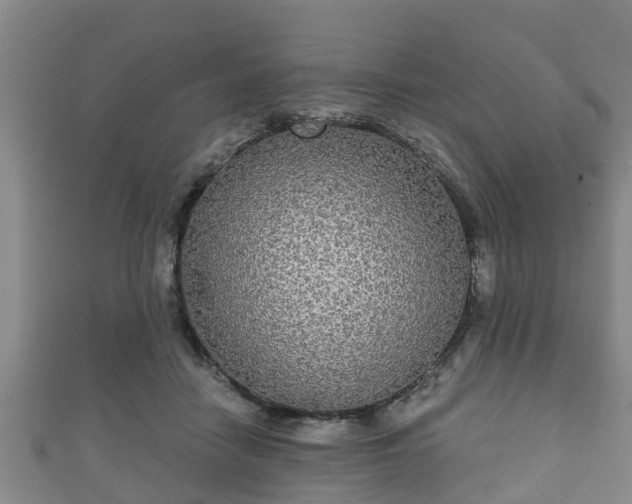 X0000111590458200907231218