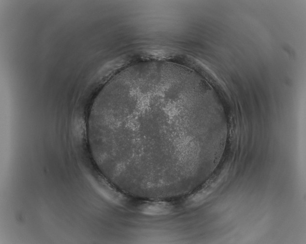 X0000111590459200907231218