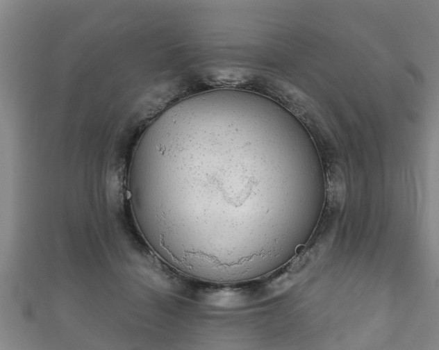 X0000111590460200907231218