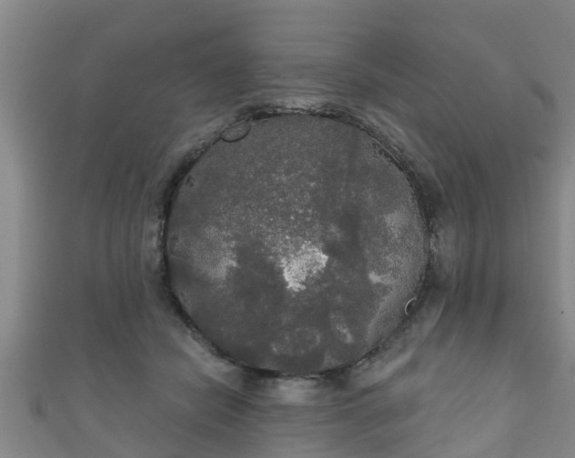 X0000111590462200907231218