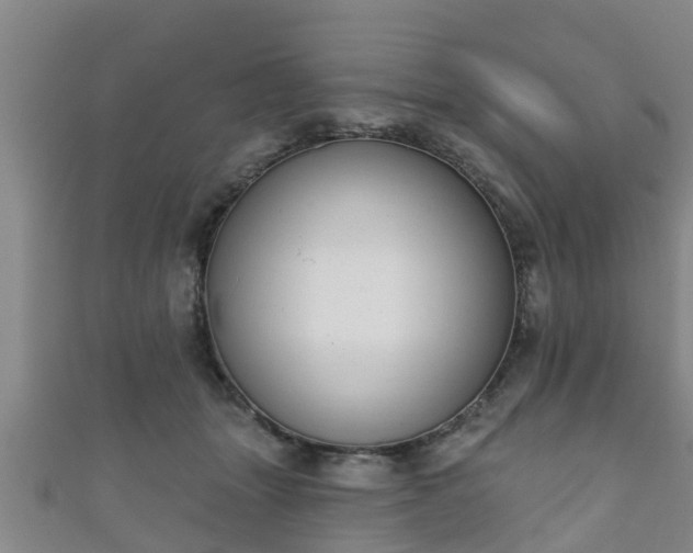 X0000111590463200907231218