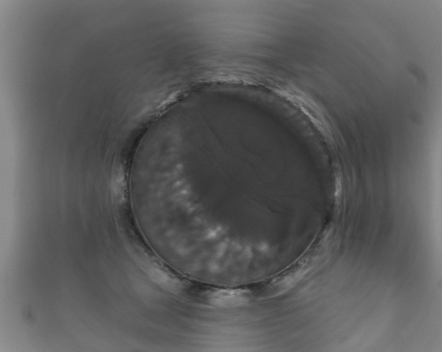 X0000111590465200907231218