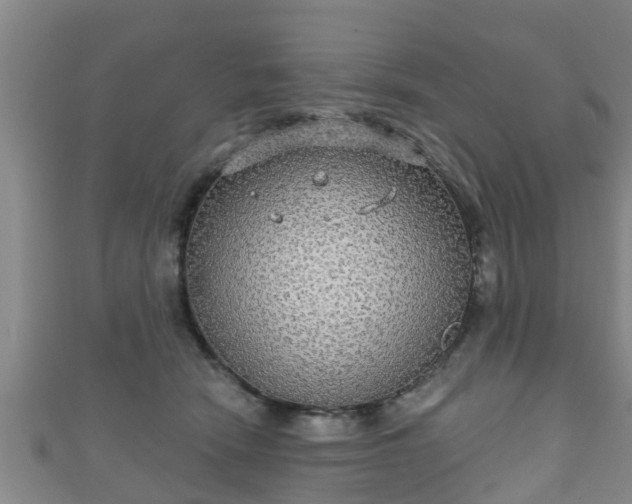 X0000111590466200907231218