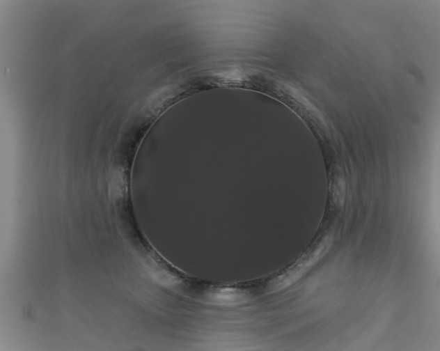 X0000111590467200907231218