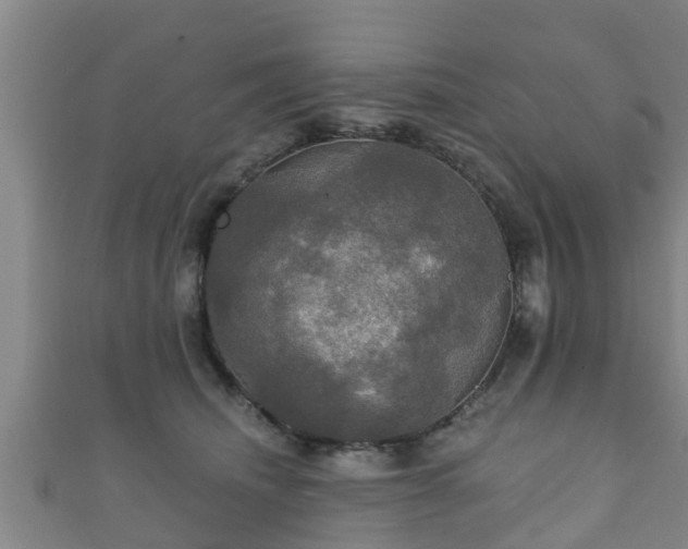 X0000111590468200907231218