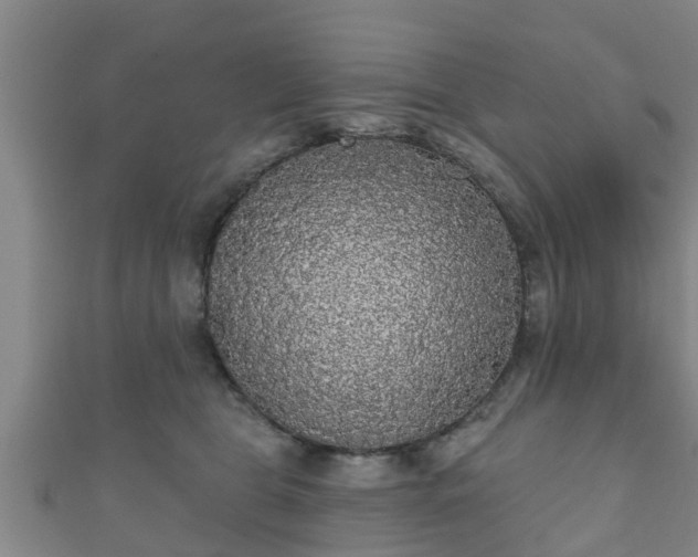 X0000111590469200907231218