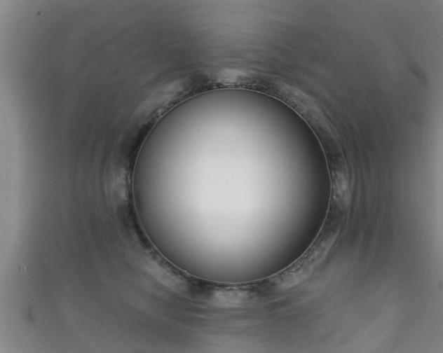 X0000111590470200907231218