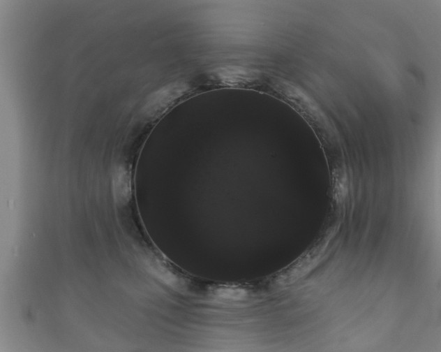 X0000111590471200907231218