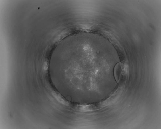 X0000111590472200907231218