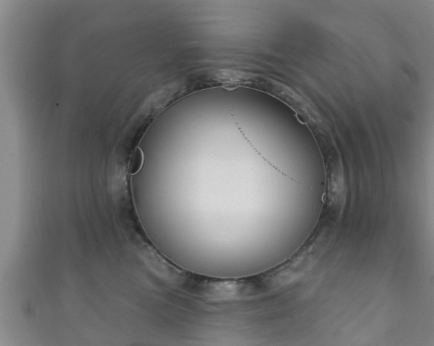 X0000111590473200907231218