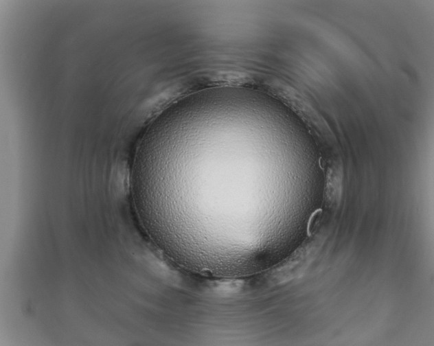 X0000111590474200907231218