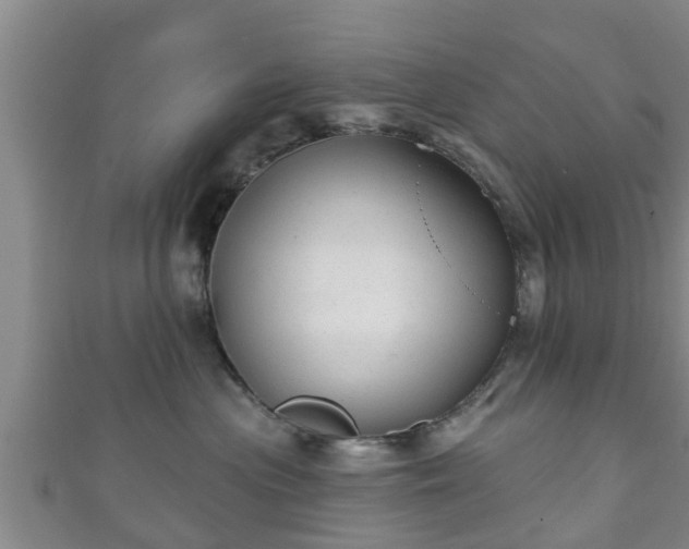 X0000111590477200907231218