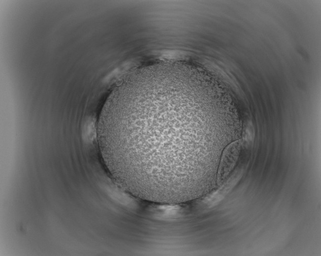 X0000111590478200907231218