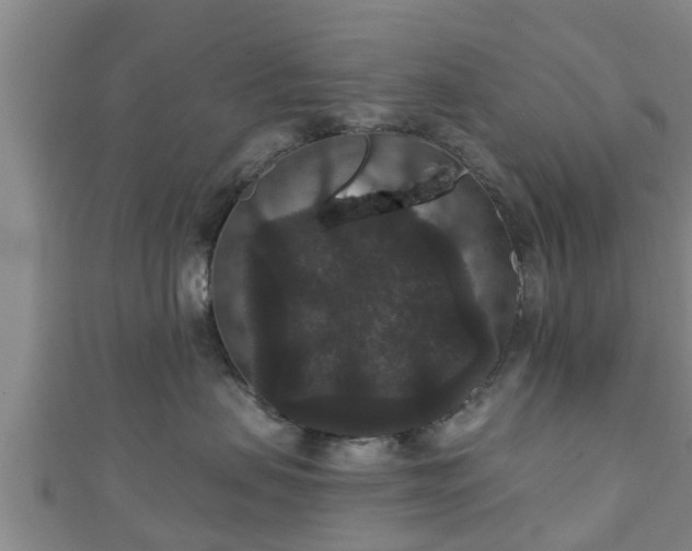 X0000111590479200907231218