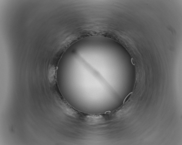 X0000111590480200907231218