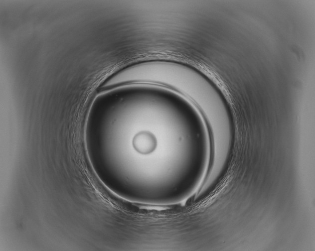 X0000111590481200907231217