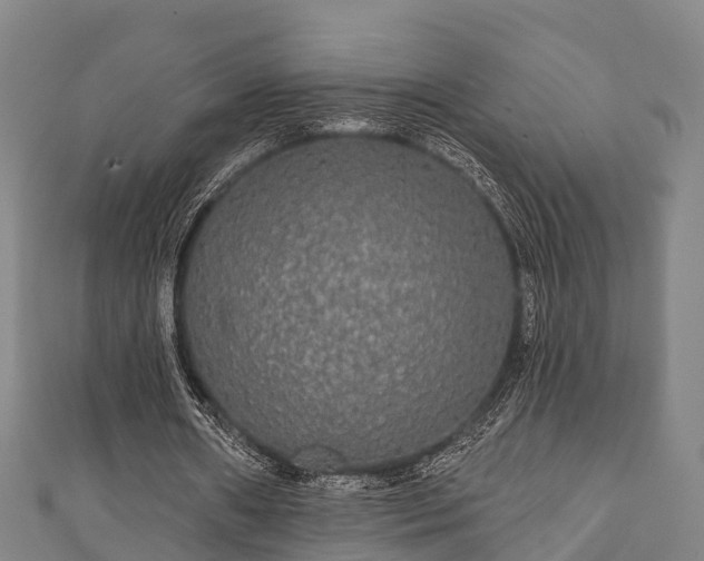 X0000111590482200907231217