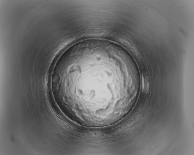 X0000111590483200907231217