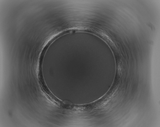 X0000111590484200907231217