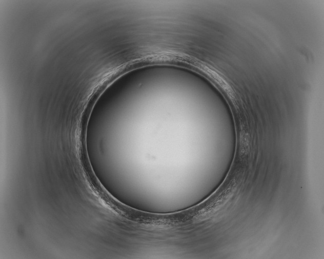 X0000111590485200907231217